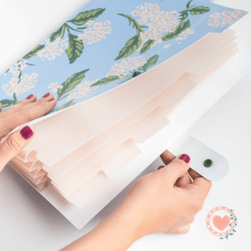 Carpeta FW A4 Clasificadora 5.Divisiones c/Boton Cute