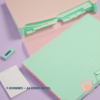 Carpeta FW A4 Clasificadora 9.Divisiones Fuelle Pastel Verde