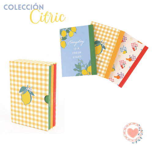 Set de 3 Cuadernos A6 Para Journaling Citric Cod.115170