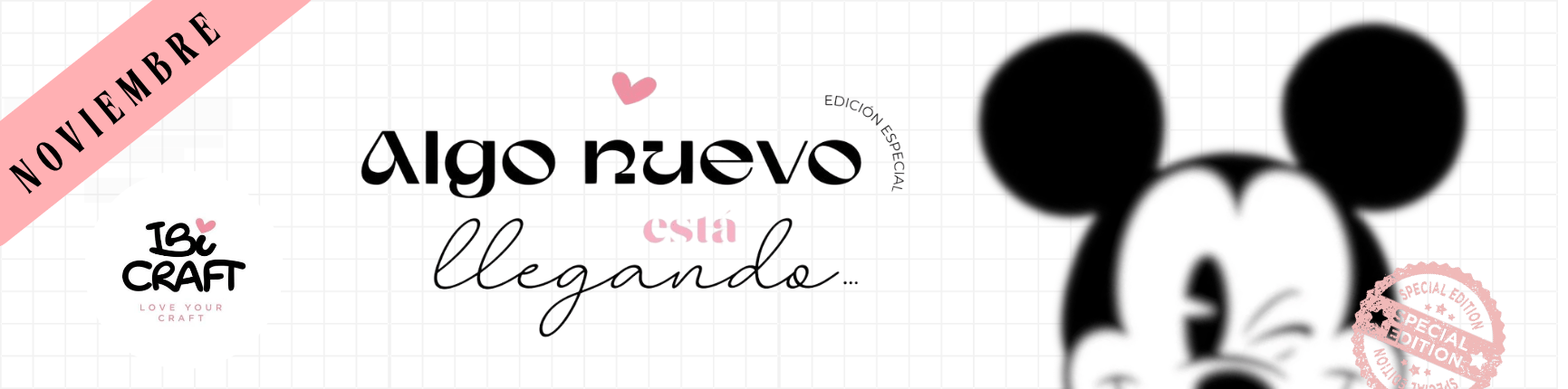 banner MICKEY